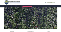 Desktop Screenshot of consolco.com